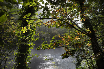 View of the Eume River as it passes through the Fragas do Eume Natural Park