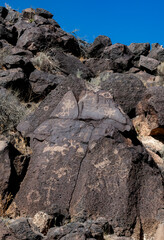 Petroglyphs at Piedras Marcadas Canyon, Albuquerque, NM