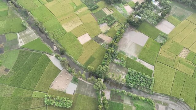 Gorgeous footage of a green undulating field of agricultural land. 4k video.