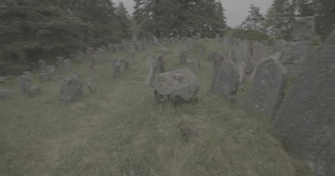 Old ancient Jewish cemetery in summer spring day. Druya, Belarus. green grass and many ancient stones. Headstone Headstones Tombstones jewish grave, clog2, clog, canon c70 c log 2.