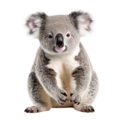 Fotobehang Koala Bear on Transparent Background © leftmade