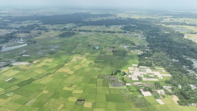 Aerial footage of scenic green landscape with agriculture field. 4k