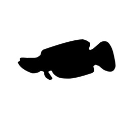 Snakehead Fish Silhouette 