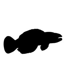 Snakehead Fish Silhouette 