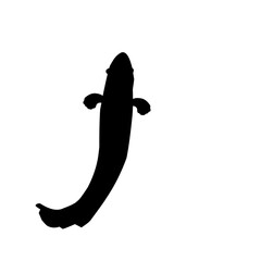 Snakehead Fish Silhouette 