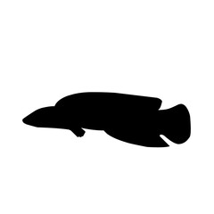 Snakehead Fish Silhouette 