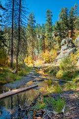 Jemez East River Slot Canyon Trail, New Mexico