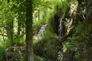  Verdant waterfall in a national park.