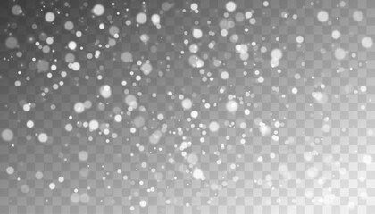 Snowfall, snowflakes of different shapes and forms. Snowflakes, snow background. Christmas snow for the new year.