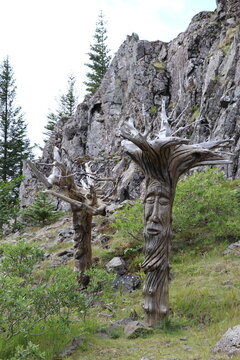 For&ecirc;t des Elfes - Islande