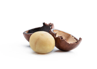 Peeled macadamia nut isolated on white background