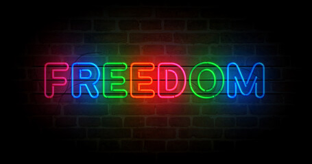 Freedom neon light 3d illustration