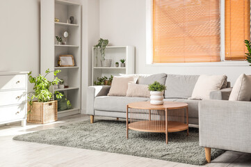 Interior of light living room with grey sofas, table and houseplants