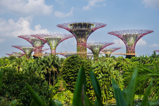 Gardens By The Bay, Singapore