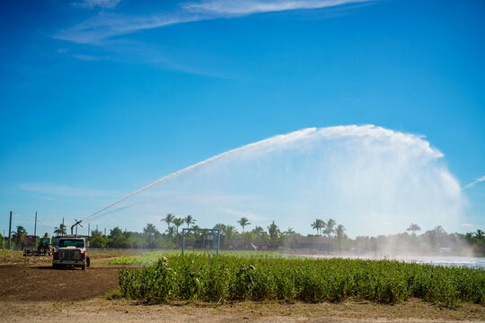 Truck watering crops at a farm