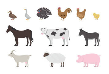 Big farm animals set. vector Flat illustration. farming, agricultural species. 12 design elements. 
