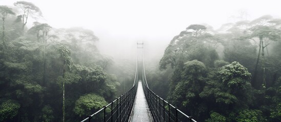 Perspective view of empty suspension bridge with green trees growing in misty and rainy forest in costa rica