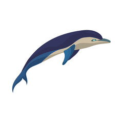 Isolated colored dolphin animal Vector