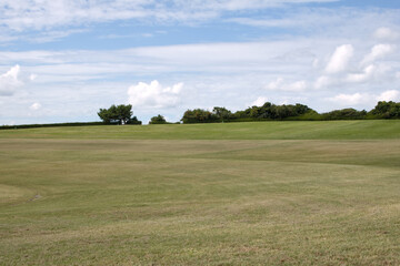 草原の風：空を舞う