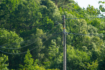Power pole with a dozen wires hanging in different directions.