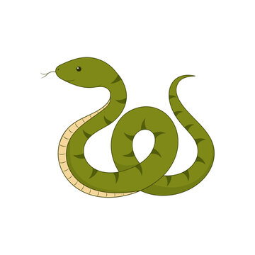 Cute green snake isolated on a white background. Symbol of the New Year 2025. Vector illustration