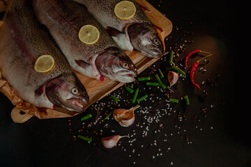 Raw fish trout on board on black background with spices
