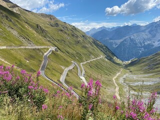Stelvio Pass