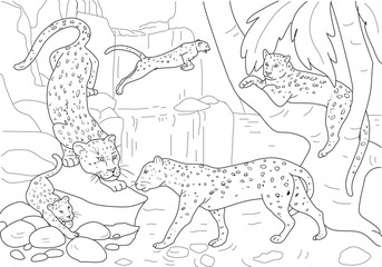 Realistic leopard Coloring Pages. A family of leopards.23
