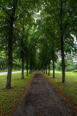 Walkway in Georgengarten in Hannover, Germany