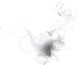 Fototapeta premium cloud of smoke on a transparent background
