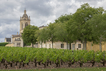 Fototapeta na wymiar The church and vineyards at castle at Margaux in France