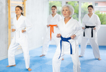 Fototapeta na wymiar Group of female karatekas practicing karate technique in gym