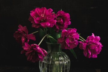 bouquet of dark red lilac tulips in glass vase on dark background. flower bouquet in vase on table. Gift interior decoration. florist, decorator. Flower shop.