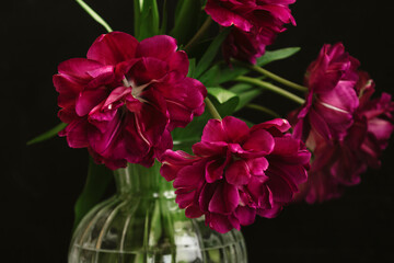 bouquet of dark red lilac tulips in glass vase on dark background. flower bouquet in vase on table. Gift interior decoration. florist, decorator. Flower shop.