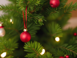 Christmas cheer, Christmas decorations.