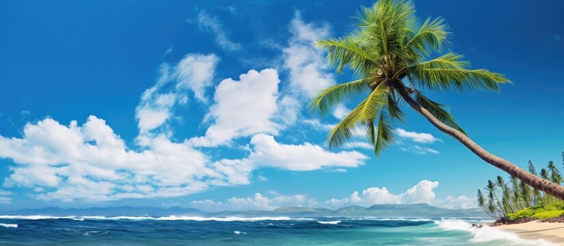 In the beautiful summer sky against a picturesque beach landscape a palm tree sways gently in the background providing a relaxing backdrop for a vacation by the stunning ocean waters