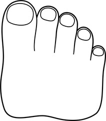 toes body part outline