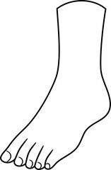 Obraz premium foot body part outline