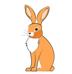 Fototapeta premium Red hare on white background