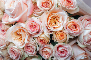 a delicate bouquet of light beautiful freshly cut roses wrapped in decorative cellophane