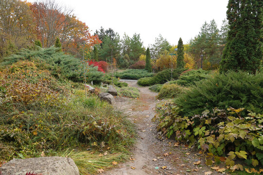 Beautiful Nature Autumn landscape. Scenery view on autumn city park with golden yellow foliage in cloudy day. Walking paths in the city Park strewn with autumn fallen leaves