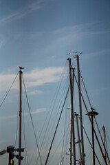 ship in the sea