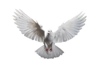 Fotobehang white dove flying © I Love Png