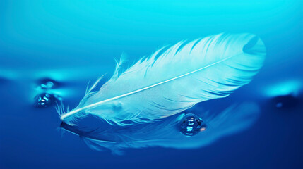 Closeup of white feather swimming on blue defocused water 