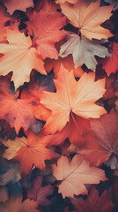 Autumn Leaves Background Vintage Retro Style
