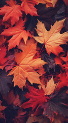 Autumn Leaves Background Vintage Retro Style