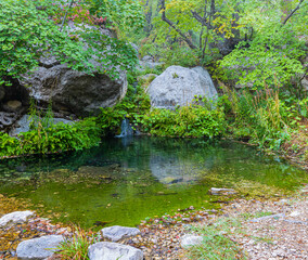 Smith Springs Flowing Into Small Pool Near Frijole Ranch, Guadalupe Mountains National Park, Texas, USA