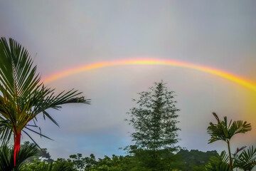 rainbow in the sky