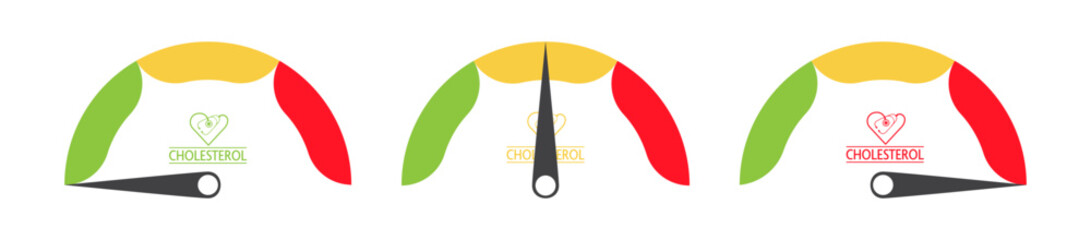 Cholesterol level meter gauge set indicating low, average, high. Colorful medical vector to use in healthcare, healthy lifestyle, artery disease, cardio projects. 