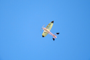 kite in the sky